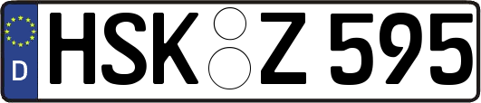 HSK-Z595