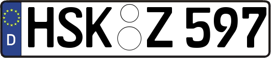 HSK-Z597