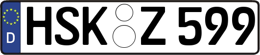 HSK-Z599