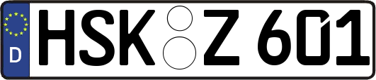 HSK-Z601