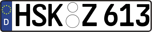 HSK-Z613