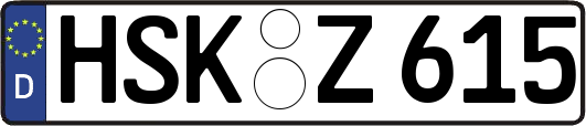 HSK-Z615