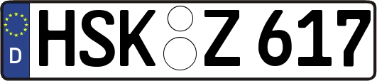 HSK-Z617