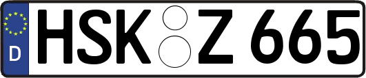 HSK-Z665