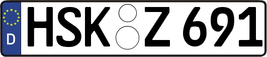 HSK-Z691