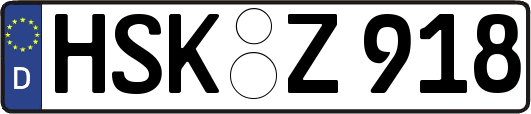 HSK-Z918