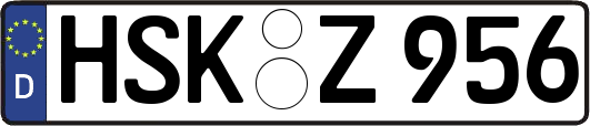 HSK-Z956