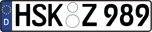 HSK-Z989