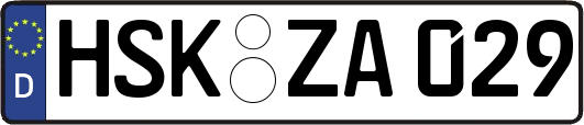 HSK-ZA029