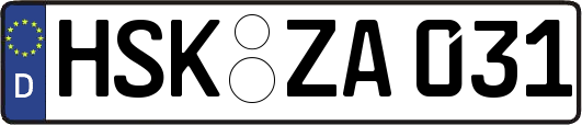 HSK-ZA031