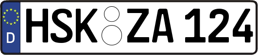 HSK-ZA124
