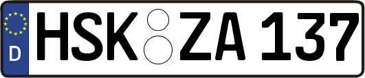 HSK-ZA137