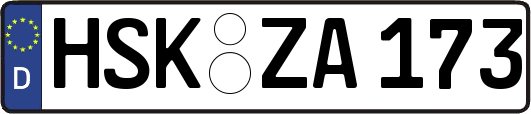 HSK-ZA173