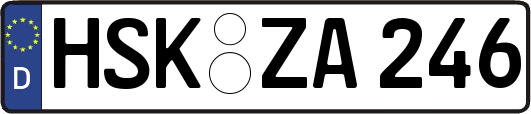 HSK-ZA246