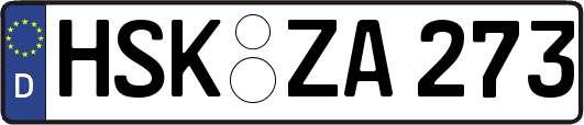 HSK-ZA273