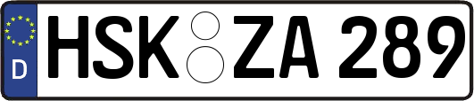 HSK-ZA289