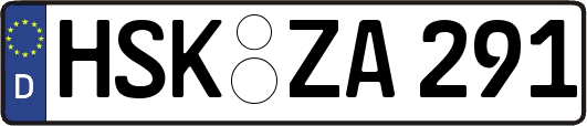 HSK-ZA291