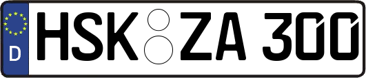 HSK-ZA300