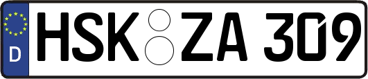 HSK-ZA309
