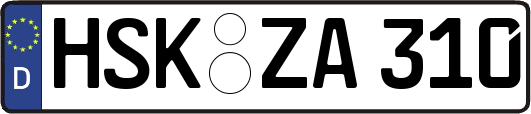 HSK-ZA310