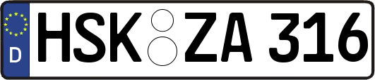 HSK-ZA316