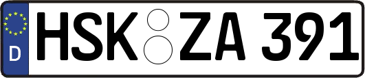 HSK-ZA391