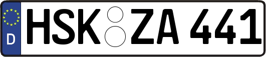HSK-ZA441