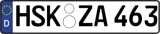 HSK-ZA463