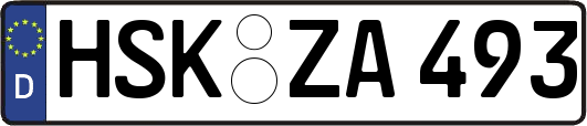 HSK-ZA493