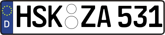 HSK-ZA531