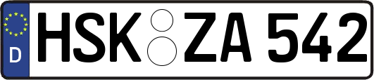 HSK-ZA542