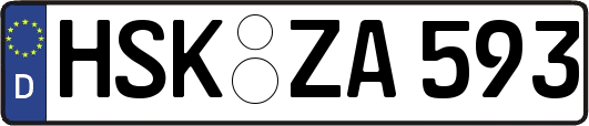 HSK-ZA593