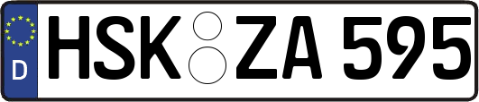 HSK-ZA595