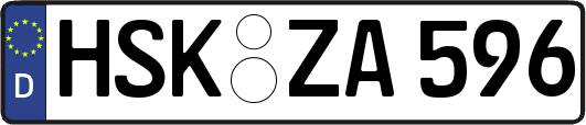 HSK-ZA596