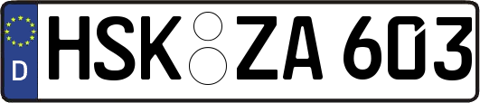 HSK-ZA603