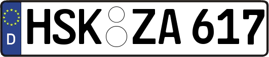 HSK-ZA617