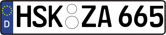 HSK-ZA665