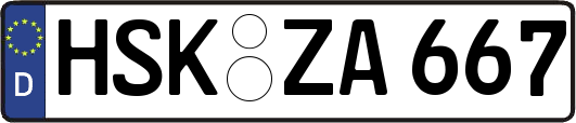 HSK-ZA667