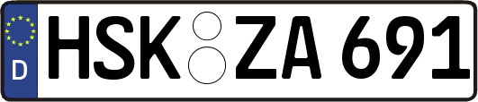 HSK-ZA691