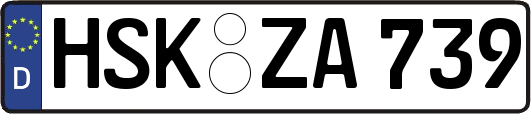 HSK-ZA739