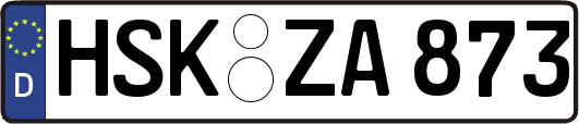 HSK-ZA873