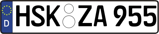 HSK-ZA955