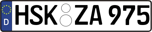 HSK-ZA975