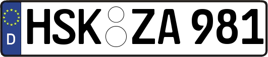 HSK-ZA981