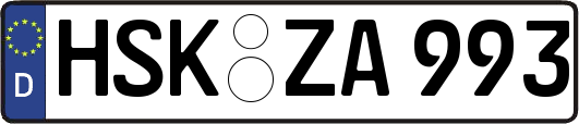 HSK-ZA993