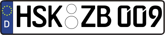 HSK-ZB009