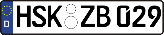 HSK-ZB029