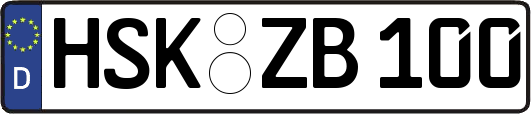 HSK-ZB100