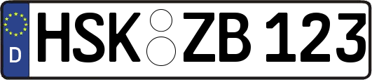 HSK-ZB123