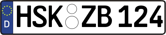 HSK-ZB124